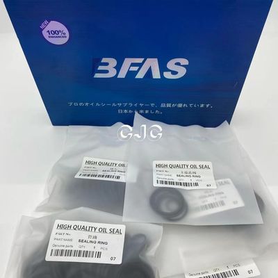 オイルSK200のための抵抗力があるFKMの水圧シリンダオイル シールのキット5-500mmの直径